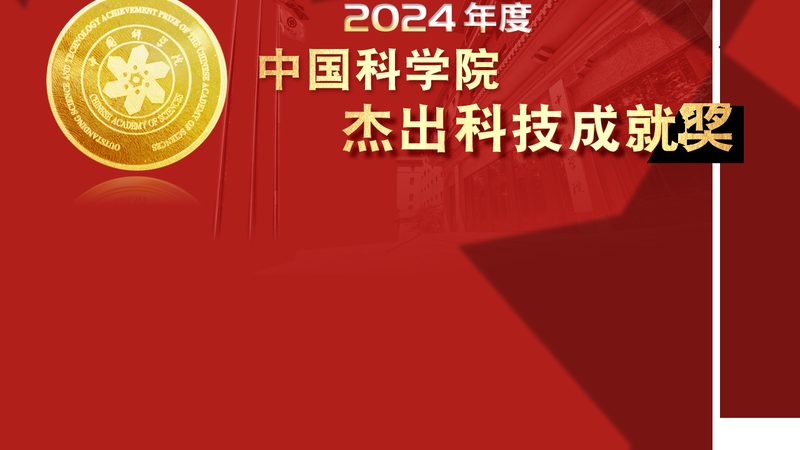 低代码平台：揭秘其功能的局限与挑战
